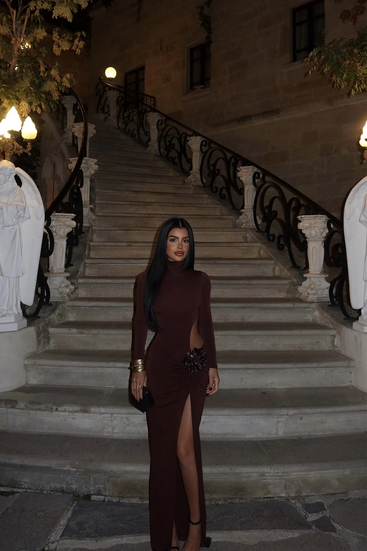 Brown Rose Detail Long Dress